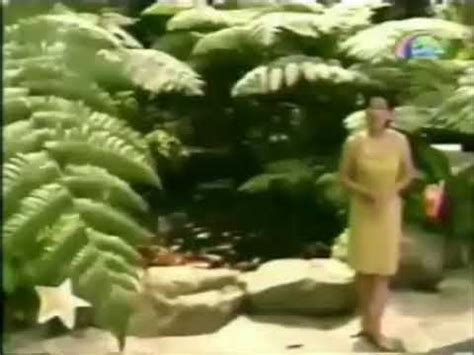 wish ko lang bernadette sembrano|Wish Ko Lang OBB (2002) .